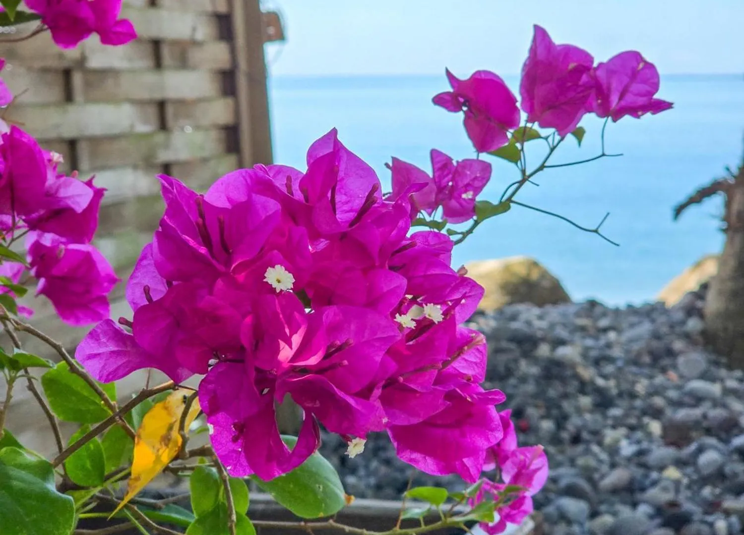 Casa vacanze Villa Ti Kay Paradi - Acces Plage Direct Saint-Pierre